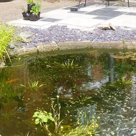 Manor View וויטבי